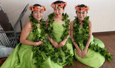 奈良・大阪・京都のハワイアンフラダンス教室 Halau Lehua Ahihi