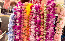 奈良・大阪・京都のハワイアンフラダンス教室 Halau Lehua Ahihi